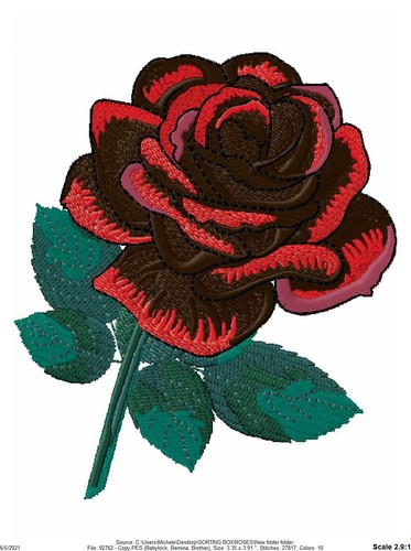 Collection 2000 all roses - collection, 2000+